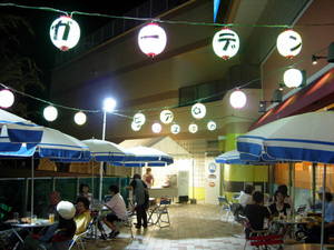 takanekoudanbiaga-den 007.jpg